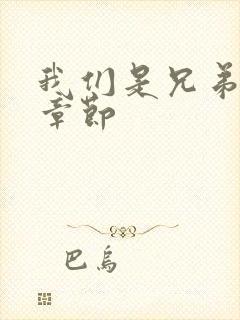 我们是兄弟最新章节