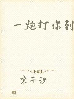 一炮打你到天亮