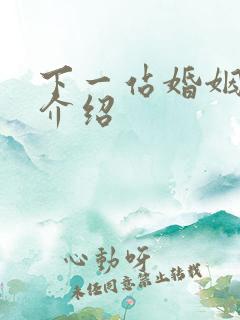 下一站婚姻剧情介绍