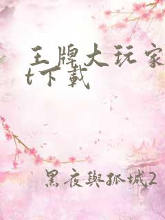 王牌大玩家txt下载