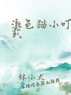 激色猫小叮当下载