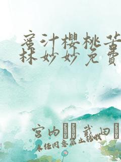 蜜汁樱桃苦咖啡林妙妙免费全文