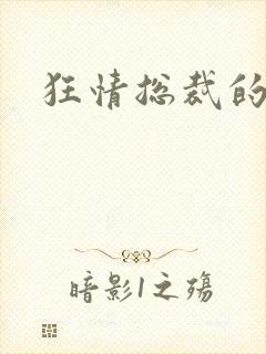 狂情总裁的囚妻