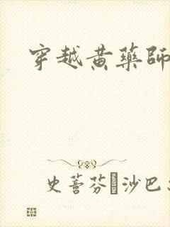 穿越黄药师之子