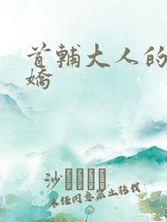 首辅大人的掌心娇