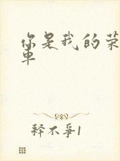 你是我的荣耀肉车