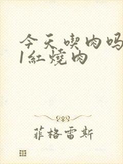 今天吃肉吗1V1红烧肉