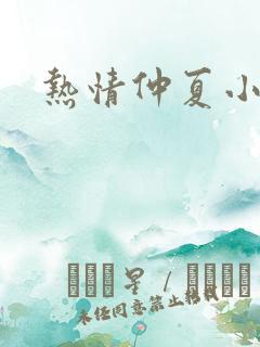 热情仲夏小说
