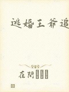 逃婚王爷追逃妃