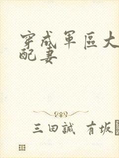 穿成军区大佬女配妻