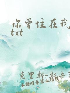 你曾住在我心上txt