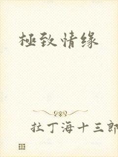 极致情缘