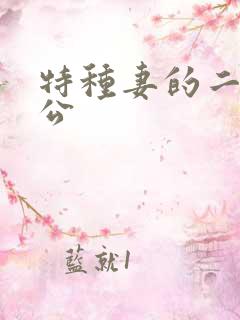 特种妻的二手老公