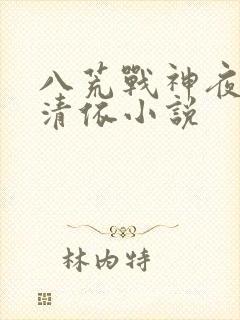 八荒战神夜麟云清依小说