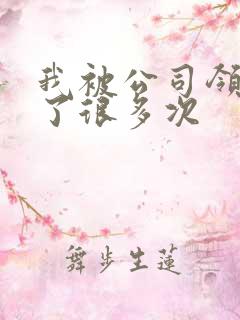 我被公司领导C了很多次