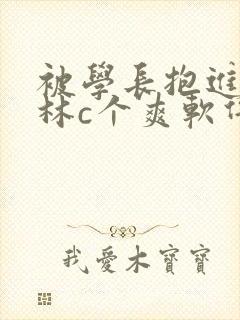 被学长抱进小树林c个爽软件