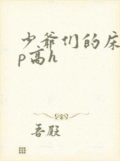 少爷们的床奴np高h