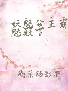 妖魅公主霸上邪魅殿下