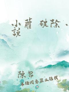 小萝 破除 小说
