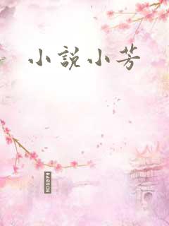 小说小芳
