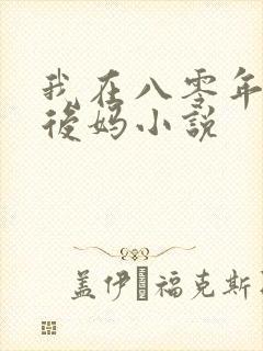 我在八零年代当后妈小说