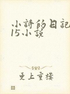 小诗的日记1一15小说