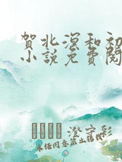 贺北溟和初夏的小说免费阅读无弹窗