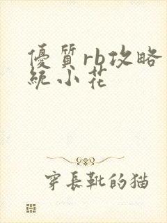 优质rb攻略系统小花