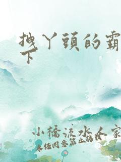 拽丫头的霸道殿下