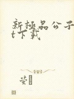 新极品公子txt下载