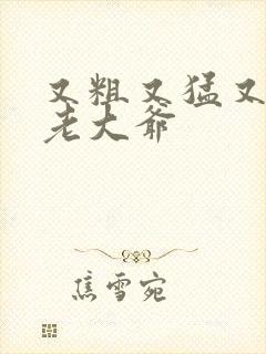 又粗又猛又大爽老大爷