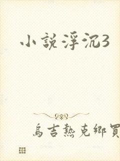 小说浮沉3