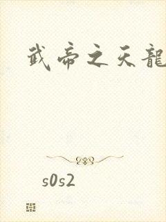 武帝之天龙八部