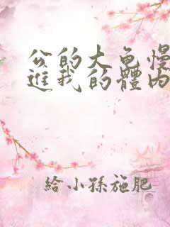 公的大龟慢慢挺进我的体内小说