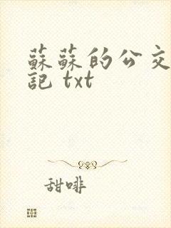 苏苏的公交车日记 txt