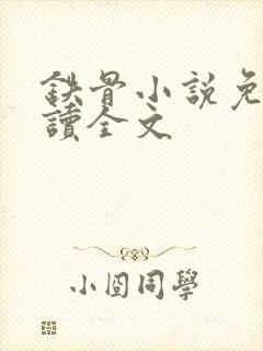 铁骨小说免费阅读全文