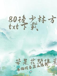80后少林方丈txt下载