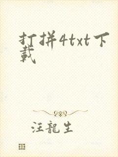 打拼4txt下载