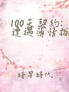 100天契约:遭遇薄情总裁