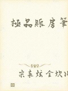 极品账房笔趣阁