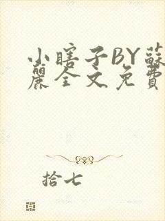 小瞎子BY苏玛丽全文免费笔趣阁