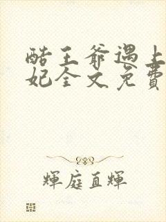 酷王爷遇上穿越妃全文免费阅读