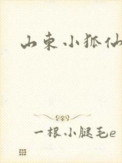 山东小狐仙
