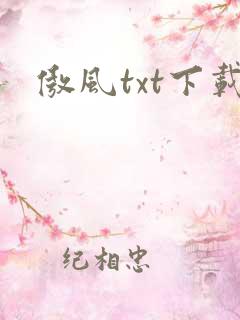 傲风txt下载