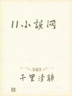 11小说网