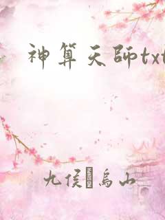 神算天师txt