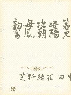 韵母攻略第二部鸾凤朝阳免费