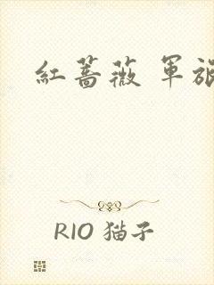 红蔷薇 军旅文