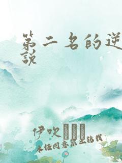 第二名的逆袭小说