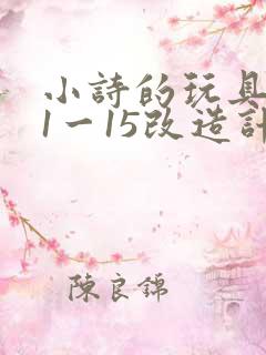 小诗的玩具日记1一15改造计划